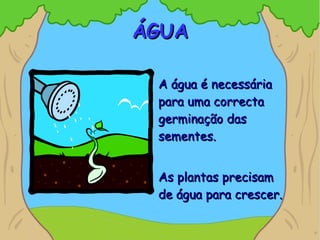 ÁGUA A água é necessária para uma correcta  germinação das sementes. As plantas precisam de água para crescer. 
