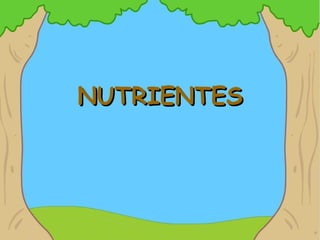 NUTRIENTES 