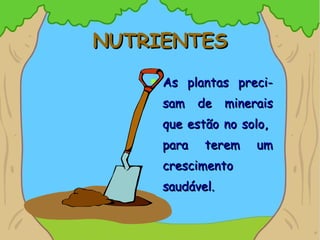 NUTRIENTES As plantas preci-sam de minerais que estão no solo,  para terem um crescimento saudável. 