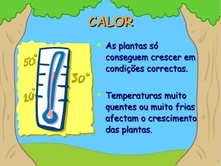 CALORCALOR
 As plantas sóAs plantas só
conseguem crescer emconseguem crescer em
condições correctas.condições correctas.
 Temperaturas muitoTemperaturas muito
quentes ou muito friasquentes ou muito frias
afectam o crescimentoafectam o crescimento
das plantas.das plantas.
 