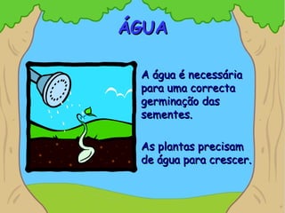ÁGUAÁGUA
A água é necessáriaA água é necessária
para uma correctapara uma correcta
germinação dasgerminação das
sementes.sementes.
As plantas precisamAs plantas precisam
de água para crescer.de água para crescer.
 