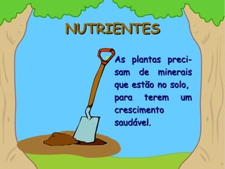 NUTRIENTESNUTRIENTES
 As plantas preci-As plantas preci-
sam de mineraissam de minerais
que estão no solo,que estão no solo,
para terem umpara terem um
crescimentocrescimento
saudável.saudável.
 