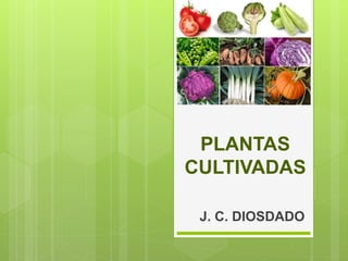 PLANTAS
CULTIVADAS
J. C. DIOSDADO
 