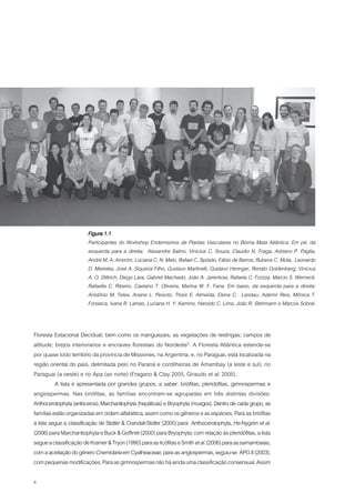 Figura 1.1
                        Participantes do Workshop Endemismos de Plantas Vasculares no Bioma Mata Atlântica. Em pé, da
                        esquerda para a direita: Alexandre Salino, Vinicius C. Souza, Claudio N. Fraga, Adriano P. Paglia,
                        André M. A. Amorim, Luciana C. N. Melo, Rafael C. Spósito, Fábio de Barros, Rubens C. Mota, Leonardo
                        D. Meireles, José A. Siqueira Filho, Gustavo Martinelli, Gustavo Heringer, Renato Goldenberg, Vinícius
                        A. O. Dittrich, Diego Lara, Gabriel Machado, João A. Jarenkow, Rafaela C. Forzza, Márcio S. Werneck,
                        Rafaella C. Ribeiro, Caetano T. Oliveira, Marina W. F. Faria. Em baixo, da esquerda para a direita:
                        Aristônio M. Teles, Ariane L. Peixoto, Thaís E. Almeida, Elena C. Landau, Ademir Reis, Mônica T.
                        Fonseca, Ivana R. Lamas, Luciana H. Y. Kamino, Haroldo C. Lima, João R. Stehmann e Marcos Sobral.


Floresta Estacional Decidual; bem como os manguezais, as vegetações de restingas; campos de
altitude; brejos interioranos e encraves florestais do Nordeste”. A Floresta Atlântica estende-se
por quase todo território da província de Missiones, na Argentina, e, no Paraguai, está localizada na
região oriental do país, delimitada pelo rio Paraná e cordilheiras de Amambay (a leste e sul), rio
Paraguai (a oeste) e rio Apa (ao norte) (Fragano & Clay 2005, Giraudo et al. 2005).
          A lista é apresentada por grandes grupos, a saber: briófitas, pteridófitas, gimnospermas e
angiospermas. Nas briófitas, as famílias encontram-se agrupadas em três distintas divisões:
Anthocerotophyta (antóceros), Marchantiophyta (hepáticas) e Bryophyta (musgos). Dentro de cada grupo, as
famílias estão organizadas em ordem alfabética, assim como os gêneros e as espécies. Para as briófitas
a lista segue a classificação de Stotler & Crandall-Stotler (2005) para Anthocerotophyta, He-Nygrén et al.
(2006) para Marchantiophyta e Buck & Goffinet (2000) para Bryophyta; com relação às pteridófitas, a lista
segue a classificação de Kramer & Tryon (1990) para as licófitas e Smith et al. (2006) para as samambaias,
com a aceitação do gênero Cnemidaria em Cyatheaceae; para as angiospermas, seguiu-se APG II (2003),
com pequenas modificações. Para as gimnospermas não há ainda uma classificação consensual. Assim

6
 