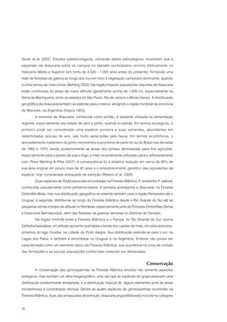 (Auler et al. 2002). Estudos paleoecológicos, utilizando dados palinológicos, mostraram que a
expansão da Araucaria sobre os campos no planalto sul-brasileiro ocorreu efetivamente no
Holoceno Médio e Superior (em torno de 4.320 – 1.000 anos antes do presente), formando uma
rede de florestas de galeria ao longo dos rios em meio à vegetação campestre dominante, quando
o clima tornou-se mais úmido (Behling 2002). Na região tropical, populações disjuntas de Araucaria
estão confinadas às áreas de maior altitude (geralmente acima de 1.000 m), especialmente na
Serra da Mantiqueira, entre os estados de São Paulo, Rio de Janeiro e Minas Gerais. A distribuição
geográfica da Araucaria também se estende para o interior, atingindo a região nordeste da província
de Misiones, na Argentina (Hueck 1953).
         A semente da Araucaria, conhecida como pinhão, é bastante utilizada na alimentação
regional, especialmente nos meses de abril a junho, quando é colhida. Em termos ecológicos, o
pinheiro pode ser considerado uma espécie pioneira e suas sementes, abundantes em
determinadas épocas do ano, são muito apreciadas pela fauna. Em termos econômicos, o
aproveitamento madeireiro do pinho movimentou a economia de parte do sul do Brasil nas décadas
de 1960 e 1970, sendo posteriormente as áreas dos pinhais desmatadas para fins agrícolas,
especialmente para o plantio de soja e trigo, e mais recentemente utilizadas para o reflorestamento
com Pinus (Behling & Pillar 2007). A consequência foi a drástica redução em cerca de 90% de
sua área original em pouco mais de 40 anos e o empobrecimento genético das populações da
espécie, hoje considerada ameaçada de extinção (Ribeiro et al. 2009).
         Duas espécies de Podocarpus são encontradas na Floresta Atlântica, P. lambertii e P. sellowii,
conhecidas popularmente como pinheiros-bravos. A primeira acompanha a Araucaria, na Floresta
Ombrófila Mista, mas sua distribuição geográfica se estende também para a região Pampeana até o
Uruguai; a segunda, distribui-se ao longo da Floresta Atlântica desde o Rio Grande do Sul até as
pequenas serras e brejos de altitude no Nordeste, especialmente junto às Florestas Ombrófilas Densa
e Estacional Semidecidual, além das florestas de galerias serranas no Domínio do Cerrado.
         Na região limítrofe entre a Floresta Atlântica e o Pampa, no Rio Grande do Sul, ocorre
Ephedra tweediana, um arbusto apoiante que habita a borda dos capões de mata, em solos arenosos,
próximos do lago Guaíba, na cidade de Porto Alegre. Sua distribuição estende-se para o sul, na
Lagoa dos Patos, e também é encontrada no Uruguai e na Argentina. Embora não possa ser
caracterizada como um elemento típico da Floresta Atlântica, sua ocorrência na zona de contato
das formações e as poucas populações conhecidas merecem ser destacadas.

                                                                                    Conservação
          A conservação das gimnospermas na Floresta Atlântica envolve não somente aspectos
biológicos, mas também um olhar biogeográfico, uma vez que as espécies do grupo possuem uma
distribuição predominante temperada, e a distribuição tropical de alguns elementos junto às áreas
montanhosas é considerada relictual. Dentre as quatro espécies de gimnospermas ocorrentes na
Floresta Atlântica, duas são ameaçadas de extinção. Araucaria angustifolia está incluída na categoria

28
 