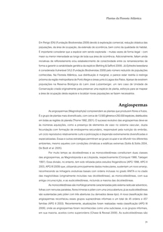 Plantas da Floresta Atlântica




Em Perigo (EN) (Fundação Biodiversitas 2009) devido à exploração comercial, redução drástica das
populações, da área de ocupação, da extensão de ocorrência, bem como da qualidade do habitat.
É importante considerar que a espécie vem sendo explorada – muitas vezes de forma ilegal – com
maior ou menor intensidade ao longo de toda sua área de ocorrência. Adicionalmente, faltam ainda
iniciativas de reflorestamento e/ou estabelecimento de conectividade entre os remanescentes de
forma a garantir a variabilidade genética da espécie (Behling & Safford 2009). Já Ephedra tweediana
é considerada Vulnerável (VU) (Fundação Biodiversitas 2009) pelo número reduzido de populações
conhecidas. Na Floresta Atlântica, sua distribuição é marginal, e parece estar restrita à restinga
próxima da região metropolitana de Porto Alegre e áreas junto à Lagoa dos Patos. Apesar de existirem
populações na Reserva Biológica do Lami José Lutzenberger, um raro caso de Unidade de
Conservação criada originalmente para preservar uma espécie de planta, esforços para se mapear
a área de ocupação desta espécie e localizar novas populações se fazem necessários.


                                                                          Angiospermas
         As angiospermas (Magnoliophyta) compreendem as plantas que produzem flores e frutos.
É o grupo de plantas mais diversificado, com cerca de 13.500 gêneros e 250.000 espécies, distribuídos
em todas as regiões do planeta (Thorne 1992, 2001). O sucesso evolutivo das angiospermas deve-se
às inúmeras aquisições, como a presença de elementos de vaso no sistema vascular, dupla
fecundação com formação de endosperma secundário, responsável pela nutrição do embrião,
um ciclo reprodutivo relativamente curto e polinização e dispersão extremamente diversificadas e
especializadas. Essas e outras estratégias permitiram ao grupo ocupar e se difundir nos diferentes
ambientes, mesmo aqueles com condições climáticas e edáficas extremas (Soltis & Soltis 2004,
De Bodt et al. 2005).
         Por muito tempo as dicotiledôneas e as monocotiledôneas constituíram duas classes
das angiospermas, as Magnoliopsida e as Liliopsida, respectivamente (Cronquist 1988, Taktajan
1997). Essa divisão, no entanto, tem sido refutada pelos estudos filogenéticos (APG 1998, APG II
2003, APG III 2009) que, utilizando principalmente dados moleculares, sustentam um novo arranjo,
reconhecendo as linhagens evolutivas basais com ordens inclusas no grado ANITA e no clado
das magnolídeas (originalmente incluídas nas dicotiledôneas), as monocotiledôneas, com sua
antiga circunscrição, e as eudicotiledôneas, incluindo a maioria das dicotiledôneas.
         As monocotiledôneas são morfologicamente caracterizadas pelo sistema radicular adventício,
folhas com nervuras paralelas, flores trímeras e pólen com uma única abertura; já as eudicotiledôneas
são sustentadas pelo pólen com três aberturas (ou derivados desse tipo). A nova classificação das
angiospermas reconheceu esses grupos supraordinais informais e um total de 45 ordens e 457
famílias (APG II 2003). Recentemente, atualizações foram realizadas nesta classificação (APG III
2009), onde as angiospermas foram reconhecidas como uma subclasse, e os grupos informais,
em sua maioria, aceitos como superordens (Chase & Reveal 2009). As eudicotiledôneas são

                                                                                                  29
 