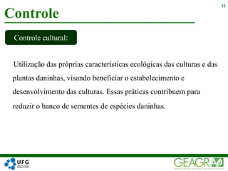 Utilização das próprias características ecológicas das culturas e das
plantas daninhas, visando beneficiar o estabelecimento e
desenvolvimento das culturas. Essas práticas contribuem para
reduzir o banco de sementes de espécies daninhas.
Controle
11
Controle cultural:
 