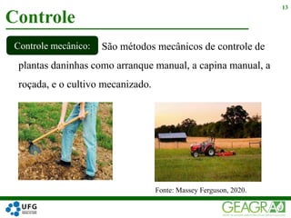 São métodos mecânicos de controle de
plantas daninhas como arranque manual, a capina manual, a
roçada, e o cultivo mecanizado.
Controle
13
Controle mecânico:
Fonte: Massey Ferguson, 2020.
 