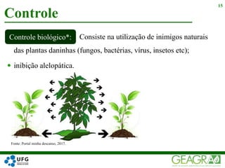  Consiste na utilização de inimigos naturais
das plantas daninhas (fungos, bactérias, vírus, insetos etc);
 inibição alelopática.
Controle
15
Controle biológico*:
Fonte: Portal minha descanso, 2017.
 