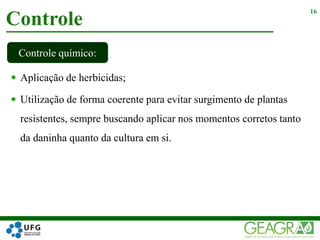  Aplicação de herbicidas;
 Utilização de forma coerente para evitar surgimento de plantas
resistentes, sempre buscando aplicar nos momentos corretos tanto
da daninha quanto da cultura em si.
Controle
16
Controle químico:
 