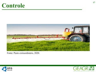 Controle
17
Fonte: Pasto extraordinário, 2020.
 