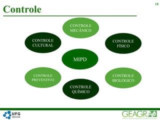 Controle
18
MIPD
CONTROLE
CULTURAL
CONTROLE
PREVENTIVO
CONTROLE
FÍSICO
CONTROLE
BIOLÓGICO
CONTROLE
QUÍMICO
CONTROLE
MECÂNICO
 