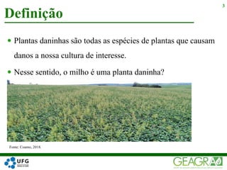  Plantas daninhas são todas as espécies de plantas que causam
danos a nossa cultura de interesse.
 Nesse sentido, o milho é uma planta daninha?
Definição
3
Fonte: Coamo, 2018.
 
