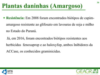  Resistência: Em 2008 foram encontrados biótipos de capim-
amargoso resistente ao glifosato em lavouras de soja e milho
no Estado do Paraná.
Já, em 2016, foram encontrados biótipos resistentes aos
herbicidas fenoxaprop e ao haloxyfop, ambos Inibidores da
ACCase, os conhecidos graminicidas.
Plantas daninhas (Amargoso)
30
 