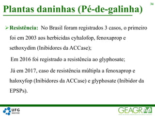Resistência: No Brasil foram registrados 3 casos, o primeiro
foi em 2003 aos herbicidas cyhalofop, fenoxaprop e
sethoxydim (Inibidores da ACCase);
Em 2016 foi registrado a resistência ao glyphosate;
Já em 2017, caso de resistência múltipla a fenoxaprop e
haloxyfop (Inibidores da ACCase) e glyphosate (Inibidor da
EPSPs).
Plantas daninhas (Pé-de-galinha)
34
 