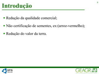  Redução da qualidade comercial;
 Não certificação de sementes, ex:(arroz-vermelho);
 Redução do valor da terra.
Introdução
5
 