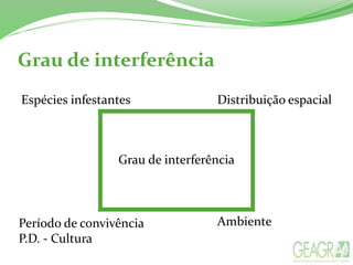 Grau de interferência
Espécies infestantes Distribuição espacial
Período de convivência
P.D. - Cultura
Ambiente
Grau de interferência
 