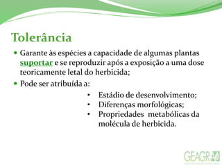 Tolerância
 Garante às espécies a capacidade de algumas plantas
suportar e se reproduzir após a exposição a uma dose
teoricamente letal do herbicida;
 Pode ser atribuída a:
• Estádio de desenvolvimento;
• Diferenças morfológicas;
• Propriedades metabólicas da
molécula de herbicida.
 