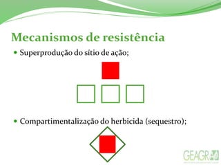 Mecanismos de resistência
 Superprodução do sítio de ação;
 Compartimentalização do herbicida (sequestro);
 