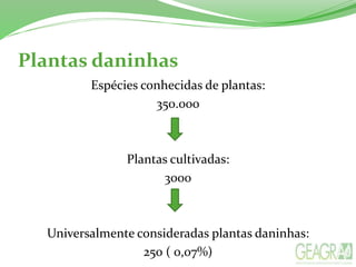 Plantas daninhas
Espécies conhecidas de plantas:
350.000
Plantas cultivadas:
3000
Universalmente consideradas plantas daninhas:
250 ( 0,07%)
 