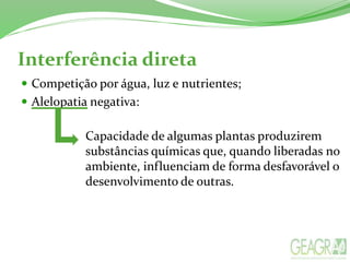 Interferência direta
 Competição por água, luz e nutrientes;
 Alelopatia negativa:
Capacidade de algumas plantas produzirem
substâncias químicas que, quando liberadas no
ambiente, influenciam de forma desfavorável o
desenvolvimento de outras.
 