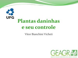 Plantas daninhas
e seu controle
Vitor Bianchini Vicheti
 