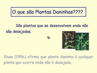 São plantas que se desenvolvem onde não
são desejadas.
O que são Plantas Daninhas????
Shaw (1956) afirma que planta daninha é qualquer
planta que ocorre onde não é desejada.
 
