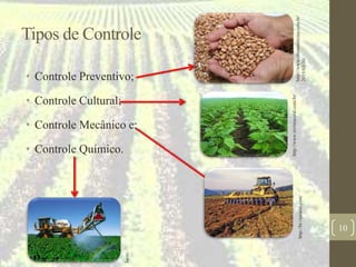 Tipos de Controle
• Controle Preventivo;
• Controle Cultural;
• Controle Mecânico e;
• Controle Químico.
10
http://www.ubatanoticias.com.br/
2015/03/30/
http://www.revistarural.com.br/
http://br.viarural.com/
Jacto.
 