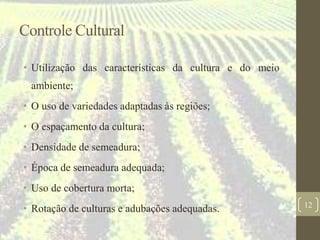 Controle Cultural
• Utilização das características da cultura e do meio
ambiente;
• O uso de variedades adaptadas às regiões;
• O espaçamento da cultura;
• Densidade de semeadura;
• Época de semeadura adequada;
• Uso de cobertura morta;
• Rotação de culturas e adubações adequadas. 12
 