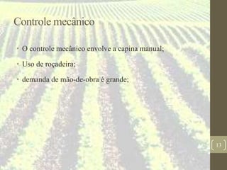 Controle mecânico
• O controle mecânico envolve a capina manual;
• Uso de roçadeira;
• demanda de mão-de-obra é grande;
13
 