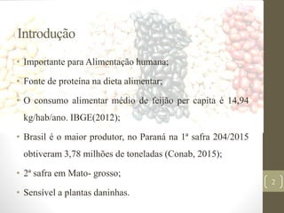Introdução
• Importante para Alimentação humana;
• Fonte de proteína na dieta alimentar;
• O consumo alimentar médio de feijão per capita é 14,94
kg/hab/ano. IBGE(2012);
• Brasil é o maior produtor, no Paraná na 1ª safra 204/2015
obtiveram 3,78 milhões de toneladas (Conab, 2015);
• 2ª safra em Mato- grosso;
• Sensível a plantas daninhas.
2
 