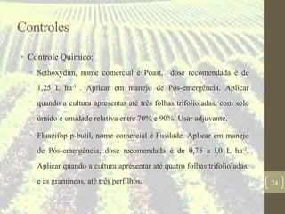 Controles
• Controle Químico:
• Sethoxydim, nome comercial é Poast, dose recomendada é de
1,25 L ha-1 . Aplicar em manejo de Pós-emergência. Aplicar
quando a cultura apresentar até três folhas trifolioladas, com solo
úmido e umidade relativa entre 70% e 90%. Usar adjuvante.
• Fluazifop-p-butil, nome comercial é Fusilade. Aplicar em manejo
de Pós-emergência, dose recomendada é de 0,75 a l,0 L ha-1.
Aplicar quando a cultura apresentar até quatro folhas trifolioladas,
e as gramíneas, até três perfilhos. 24
 
