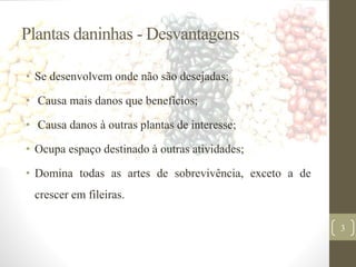 Plantas daninhas - Desvantagens
• Se desenvolvem onde não são desejadas;
• Causa mais danos que benefícios;
• Causa danos à outras plantas de interesse;
• Ocupa espaço destinado à outras atividades;
• Domina todas as artes de sobrevivência, exceto a de
crescer em fileiras.
3
 