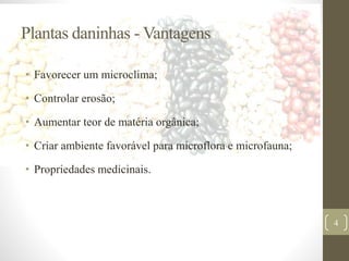 Plantas daninhas - Vantagens
• Favorecer um microclima;
• Controlar erosão;
• Aumentar teor de matéria orgânica;
• Criar ambiente favorável para microflora e microfauna;
• Propriedades medicinais.
4
 