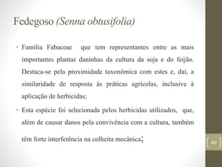 Fedegoso (Senna obtusifolia)
• Família Fabaceae que tem representantes entre as mais
importantes plantas daninhas da cultura da soja e do feijão.
Destaca-se pela proximidade taxonômica com estes e, daí, a
similaridade de resposta às práticas agrícolas, inclusive à
aplicação de herbicidas;
• Esta espécie foi selecionada pelos herbicidas utilizados, que,
além de causar danos pela convivência com a cultura, também
têm forte interferência na colheita mecânica; 49
 