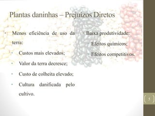Plantas daninhas – Prejuízos Diretos
• Menos eficiência de uso da
terra:
• Custos mais elevados;
• Valor da terra decresce;
• Custo de colheita elevado;
• Cultura danificada pelo
cultivo.
• Baixa produtividade:
• Efeitos químicos;
• Efeitos competitivos.
5
 