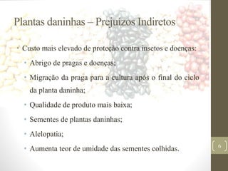 Plantas daninhas – Prejuízos Indiretos
• Custo mais elevado de proteção contra insetos e doenças:
• Abrigo de pragas e doenças;
• Migração da praga para a cultura após o final do ciclo
da planta daninha;
• Qualidade de produto mais baixa;
• Sementes de plantas daninhas;
• Alelopatia;
• Aumenta teor de umidade das sementes colhidas. 6
 