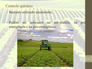 Controle químico
• Bastante utilizado atualmente;
• Podem ser aplicados no pré-plantio, na pré-
emergência e na pós-emergência;
63
 