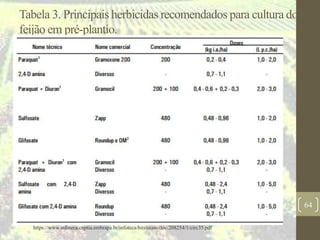 Tabela 3. Principais herbicidas recomendados para cultura do
feijão em pré-plantio.
64
https://www.infoteca.cnptia.embrapa.br/infoteca/bitstream/doc/208254/1/circ35.pdf
 