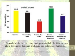Figura1. Média de porcentagem da produtividade do feijoeiro, sem
efeito das plantas daninhas, em função dos tratamentos herbicidas.
66
https://www.infoteca.cnptia.embrapa.br/infoteca/bitstream/doc/208254/1/circ35.pdf
 