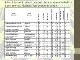 Tabela3. Suscetibilidade das principais plantas daninhas dicotiledônea
alguns herbicidas registrados para a cultura do feijoeiro.
68
 