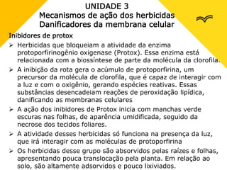 UNIDADE 3
Mecanismos de ação dos herbicidas
Danificadores da membrana celular
Inibidores de protox
 Herbicidas que bloqueiam a atividade da enzima
protoporfirinogênio oxigenase (Protox). Essa enzima está
relacionada com a biossíntese de parte da molécula da clorofila.
 A inibição da rota gera o acúmulo de protoporfirina, um
precursor da molécula de clorofila, que é capaz de interagir com
a luz e com o oxigênio, gerando espécies reativas. Essas
substâncias desencadeiam reações de peroxidação lipídica,
danificando as membranas celulares
 A ação dos inibidores de Protox inicia com manchas verde
escuras nas folhas, de aparência umidificada, seguido da
necrose dos tecidos foliares.
 A atividade desses herbicidas só funciona na presença da luz,
que irá interagir com as moléculas de protoporfirina
 Os herbicidas desse grupo são absorvidos pelas raízes e folhas,
apresentando pouca translocação pela planta. Em relação ao
solo, são altamente adsorvidos e pouco lixiviados.
 
