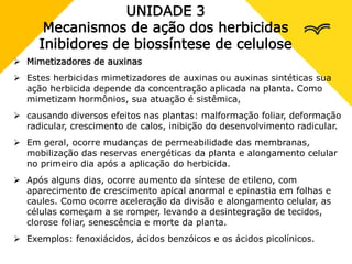 UNIDADE 3
Mecanismos de ação dos herbicidas
Inibidores de biossíntese de celulose
 Mimetizadores de auxinas
 Estes herbicidas mimetizadores de auxinas ou auxinas sintéticas sua
ação herbicida depende da concentração aplicada na planta. Como
mimetizam hormônios, sua atuação é sistêmica,
 causando diversos efeitos nas plantas: malformação foliar, deformação
radicular, crescimento de calos, inibição do desenvolvimento radicular.
 Em geral, ocorre mudanças de permeabilidade das membranas,
mobilização das reservas energéticas da planta e alongamento celular
no primeiro dia após a aplicação do herbicida.
 Após alguns dias, ocorre aumento da síntese de etileno, com
aparecimento de crescimento apical anormal e epinastia em folhas e
caules. Como ocorre aceleração da divisão e alongamento celular, as
células começam a se romper, levando a desintegração de tecidos,
clorose foliar, senescência e morte da planta.
 Exemplos: fenoxiácidos, ácidos benzóicos e os ácidos picolínicos.
 