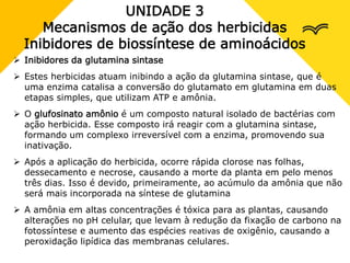UNIDADE 3
Mecanismos de ação dos herbicidas
Inibidores de biossíntese de aminoácidos
 Inibidores da glutamina sintase
 Estes herbicidas atuam inibindo a ação da glutamina sintase, que é
uma enzima catalisa a conversão do glutamato em glutamina em duas
etapas simples, que utilizam ATP e amônia.
 O glufosinato amônio é um composto natural isolado de bactérias com
ação herbicida. Esse composto irá reagir com a glutamina sintase,
formando um complexo irreversível com a enzima, promovendo sua
inativação.
 Após a aplicação do herbicida, ocorre rápida clorose nas folhas,
dessecamento e necrose, causando a morte da planta em pelo menos
três dias. Isso é devido, primeiramente, ao acúmulo da amônia que não
será mais incorporada na síntese de glutamina
 A amônia em altas concentrações é tóxica para as plantas, causando
alterações no pH celular, que levam à redução da fixação de carbono na
fotossíntese e aumento das espécies reativas de oxigênio, causando a
peroxidação lipídica das membranas celulares.
 