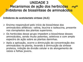 UNIDADE 3
Mecanismos de ação dos herbicidas
Inibidores de biossíntese de aminoácidos
Inibidores da acetolactato sintase (ALS)
 Enzima responsável pelo início da biossíntese dos
aminoácidos alifáticos: valina, leucina e isoleucina, presente
nos cloroplastos das plantas superiores.
 Os herbicidas desse grupo impedem a biossíntese desses
aminoácidos, sendo muito potentes, seletivos e com amplo
espectro de ação sobre as plantas daninhas.
 Após a aplicação, ocorre a diminuição da concentração dos
aminoácidos na planta, levando à diminuição da síntese
proteica, inibição da divisão celular e do alongamento de
raízes e folhas jovens.
 