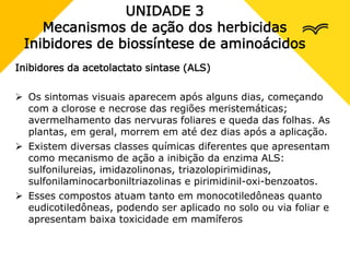 UNIDADE 3
Mecanismos de ação dos herbicidas
Inibidores de biossíntese de aminoácidos
Inibidores da acetolactato sintase (ALS)
 Os sintomas visuais aparecem após alguns dias, começando
com a clorose e necrose das regiões meristemáticas;
avermelhamento das nervuras foliares e queda das folhas. As
plantas, em geral, morrem em até dez dias após a aplicação.
 Existem diversas classes químicas diferentes que apresentam
como mecanismo de ação a inibição da enzima ALS:
sulfonilureias, imidazolinonas, triazolopirimidinas,
sulfonilaminocarboniltriazolinas e pirimidinil-oxi-benzoatos.
 Esses compostos atuam tanto em monocotiledôneas quanto
eudicotiledôneas, podendo ser aplicado no solo ou via foliar e
apresentam baixa toxicidade em mamíferos
 