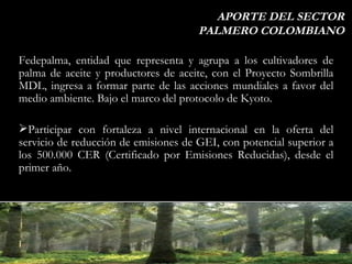 APORTE DEL SECTOR PALMERO COLOMBIANO <ul><li>Fedepalma, entidad que representa y agrupa a los cultivadores de palma de ace...