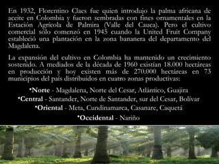 <ul><li>En 1932, Florentino Claes fue quien introdujo la palma africana de aceite en Colombia y fueron sembradas con fines...