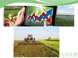 Fonte:PiraíSementes,2018.
Fonte:Lavoura10,2018.
 