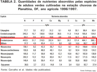 Fonte: Embrapa, 1999.
 